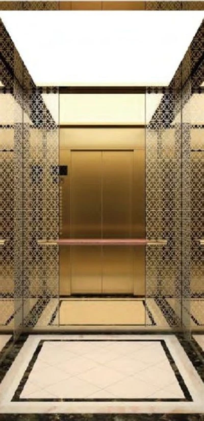 SMR Passenger Elevator